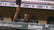 Regular Season Baseball GIF by MLB