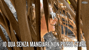 lunch eat GIF by Isola dei Famosi