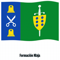 Castilla Y Leon Flag GIF by Formación Ninja