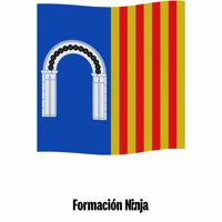 Castilla Y Leon Flag GIF by Formación Ninja