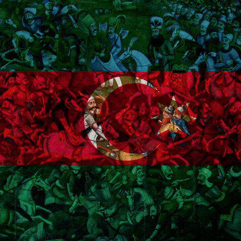 Shah Ismail Turkey GIF