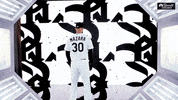 White Sox GIF by NBC Sports Chicago