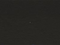 70's animation GIF by rotomangler