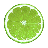 Lemonisland Sticker by Ateliercologne