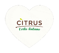 Heart Love Sticker by Citrus