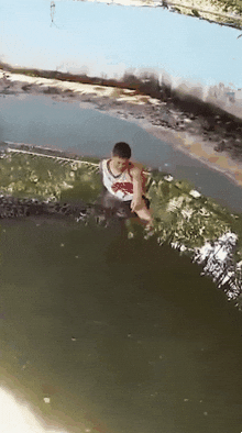 insight1 giphyupload GIF