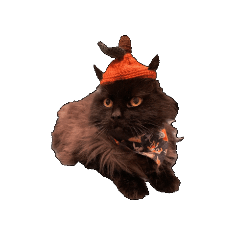 Crochet Sticker by Geekster Pets