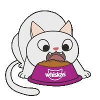 Cat Racao Sticker by Whiskas Brasil
