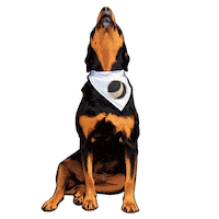 Dog Love Sticker by abana a cauda