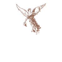 naracellar angel montes naracellar 나라셀라 Sticker