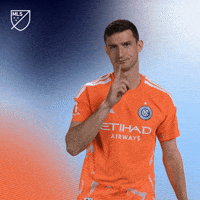 New York City Fc Mls GIF by Major League Soccer