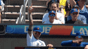 Baseball Mlb GIF by New York Mets