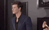 Shawn Mendes 61St Grammys GIF by Recording Academy / GRAMMYs