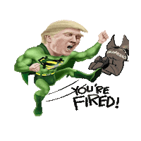 Donald Trump Sticker by imoji