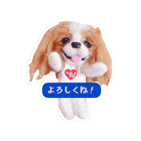 Cavalierkingcharlesspaniel Sticker