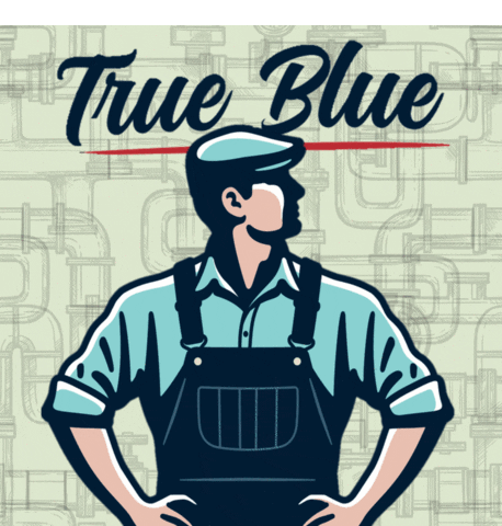 PlumbingAir plumbing hvac true blue plumbingair GIF