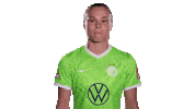 Football Sport Sticker by VfL Wolfsburg