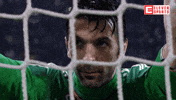 Fight Scream GIF by ElevenSportsBE