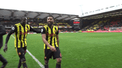 GIF by Watford Football Club