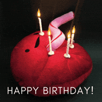 Happy Birthday GIF by I Heart Guts