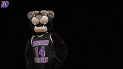 kwcpanthers panthers kwc wesley kdub GIF
