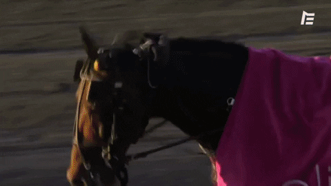 kristinriisedegrd giphygifmaker propulsion elitloppet GIF