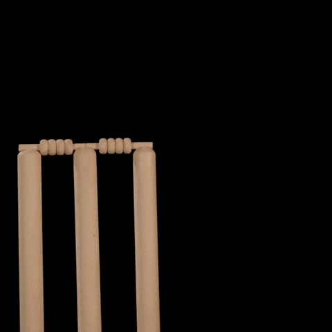 Cricket Wireless Internet GIF by RedPocket