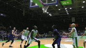 Flying Liga Endesa GIF by ACB