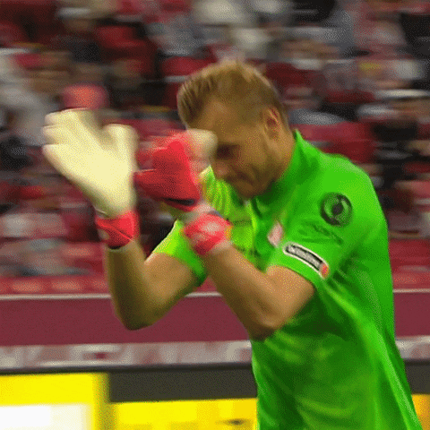 Football Goalkeeper GIF by FC Spartak Moscow