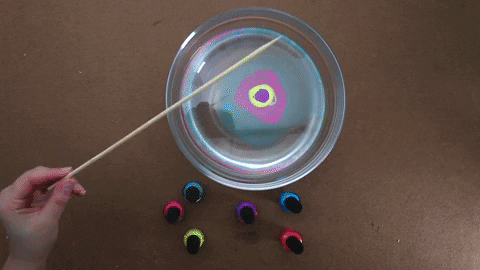 GIF by Good Morning America