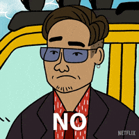 Bojack Horseman GIF by NETFLIX