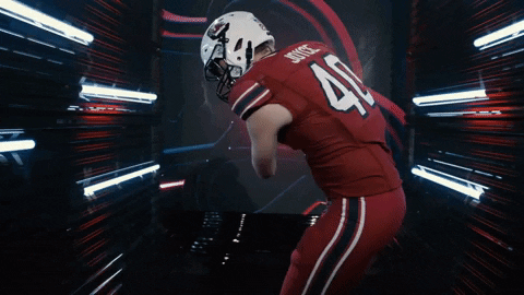 College Football GIF by gamecocksonline