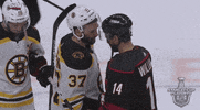 ice hockey sport GIF by NHL