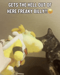 Silly Lilly GIF