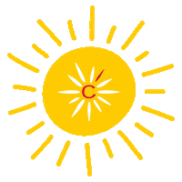 sport summer Sticker by Team Cofidis - #CofidisMyTeam