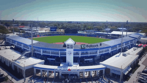 Blue Jays Summer GIF by Toronto Blue Jays