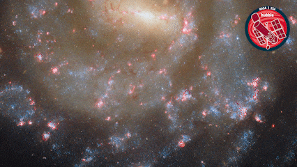 Flower Spinning GIF by ESA/Hubble Space Telescope