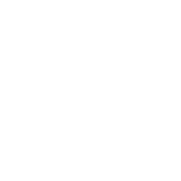 Boss Chick Queen Sticker by The Boss Chick Dance Workout