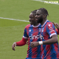 Premier League Smile GIF by Crystal Palace Football Club