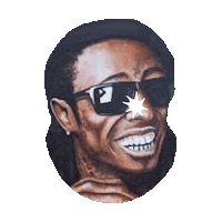 lil wayne GIF by imoji