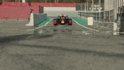 redbullracing car racing race 2019 GIF