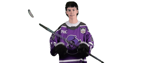 Heart Celebrate Sticker by Youngstown Phantoms