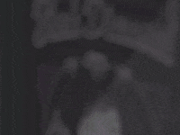 Weed Cannabis GIF by High End Graphics