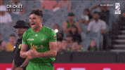 cricketcomau celebration cricket hulk bbl GIF