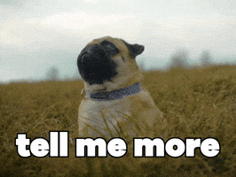 Talking Go On GIF by Sealed With A GIF