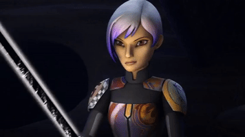 episode 15 trials of the darksaber GIF by Star Wars