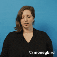 Moneybird moneybird GIF