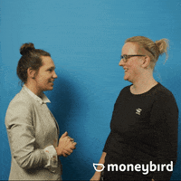 Moneybird moneybird GIF