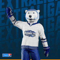 Hockey Hokej GIF by Tipsport extraliga