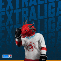 Hockey Hokej GIF by Tipsport extraliga